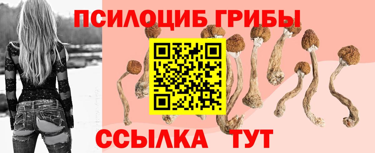 Галлюциногенные грибы Psilocybine cubensis  Галлюциногенные грибы Psilocybe  Видное  Вход с VPN 