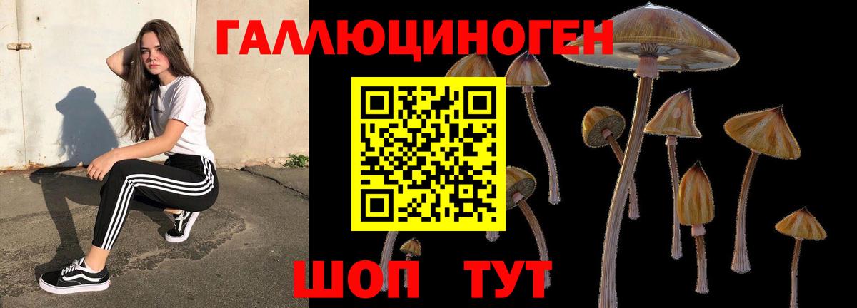 Псилоцибиновые грибы GOLDEN TEACHER Видное
